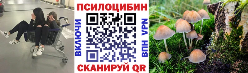 Купить закладки  Похвистнево  Псилоцибиновые грибы Psilocybine cubensis 